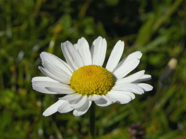 DSCN9216