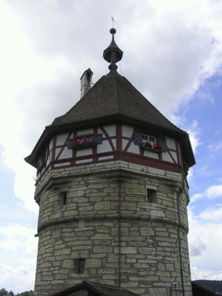 DSCN9334