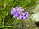 DSCN9214