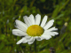 DSCN9216