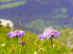DSCN9218